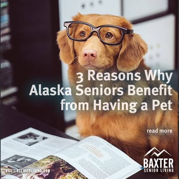 Alaska Seniors
