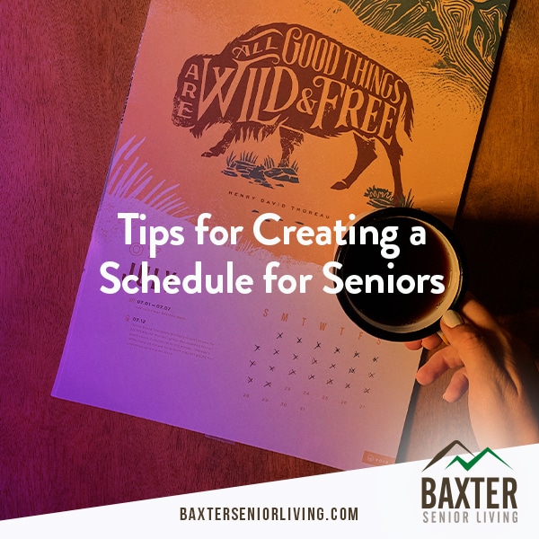 Creating a Schedule for Seniors
